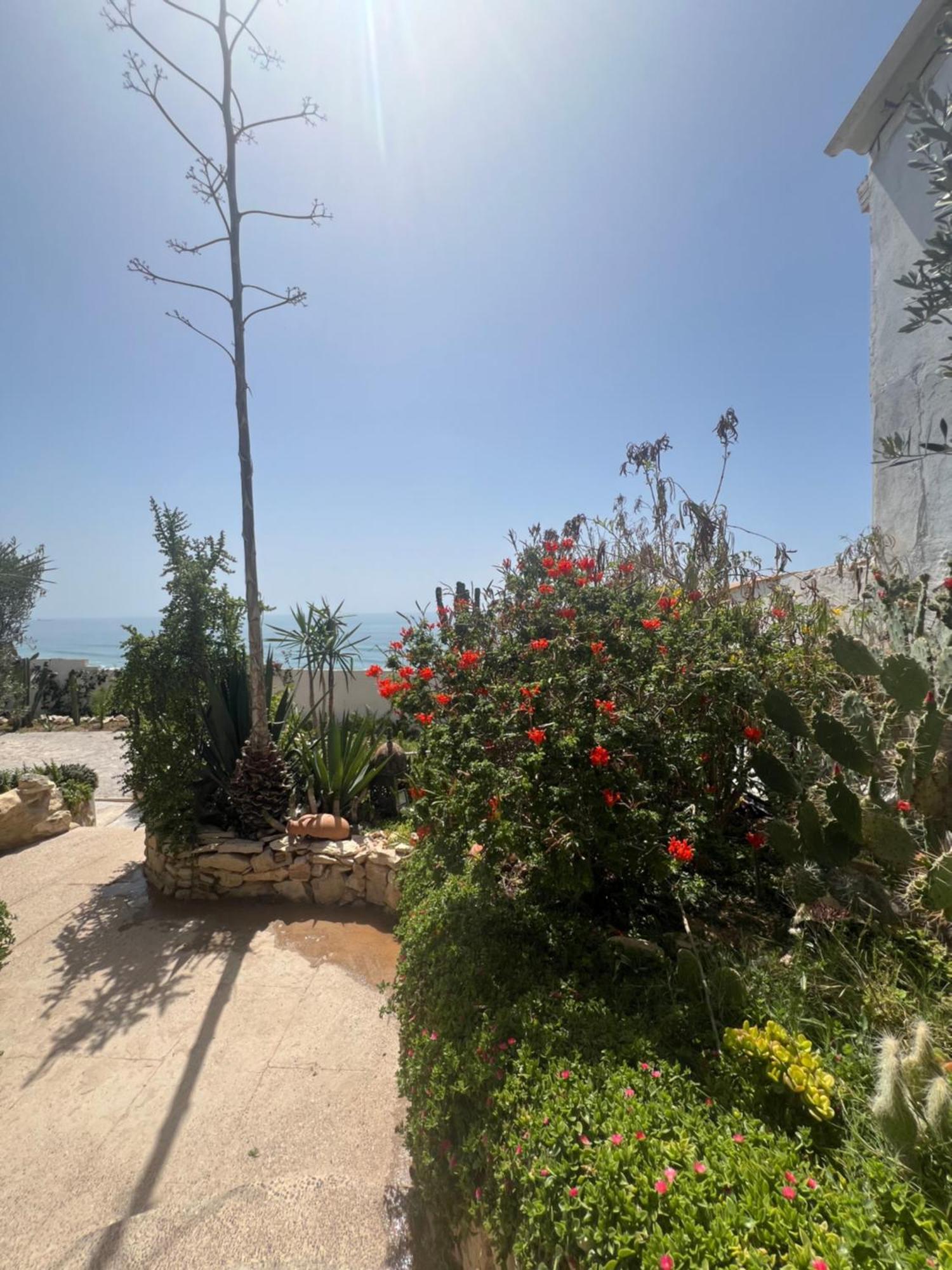 Villa Jardin De L'Ocean Aourir Exterior foto