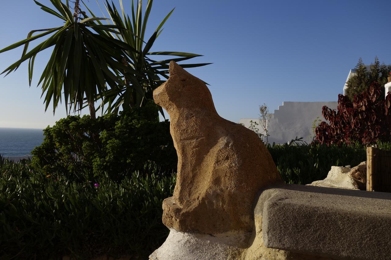 Villa Jardin De L'Ocean Aourir Exterior foto